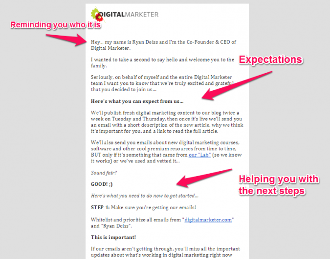 Example of welcome email from digital marketer